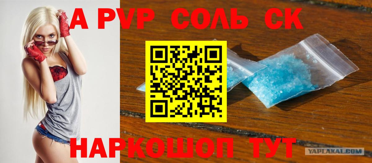 A PVP СК КРИС Солнечногорск