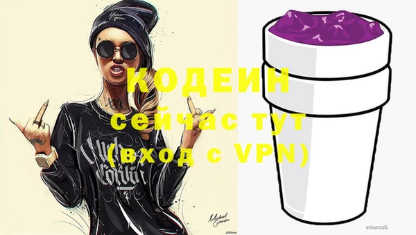 ешки Иннополис