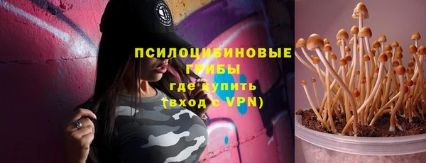 спиды Рославль