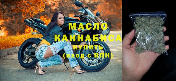 apvp Инсар