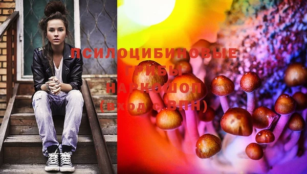 спиды Рославль