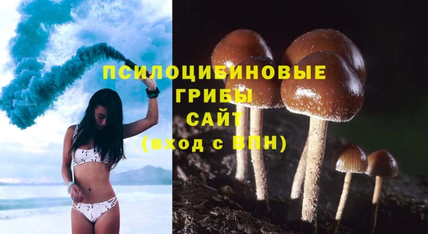 герыч Сафоново