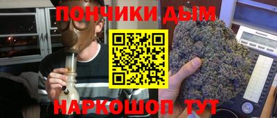 индика Кинель