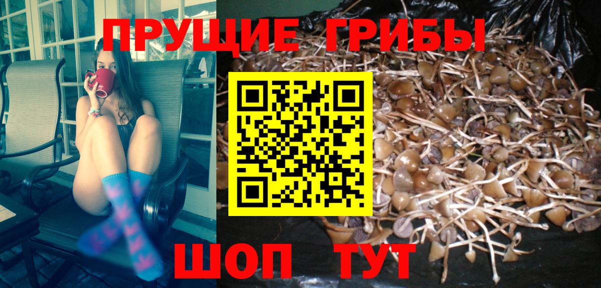 Галлюциногенные грибы ЛСД  Солнечногорск 