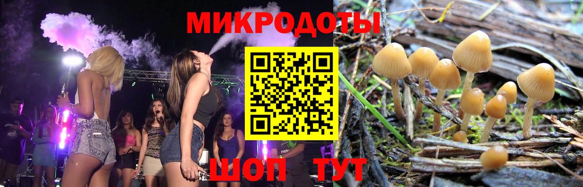 Галлюциногенные грибы Psilocybe Солнечногорск