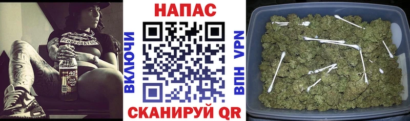 Бошки марихуана тримм  omg маркетплейс  Солнечногорск  наркота 