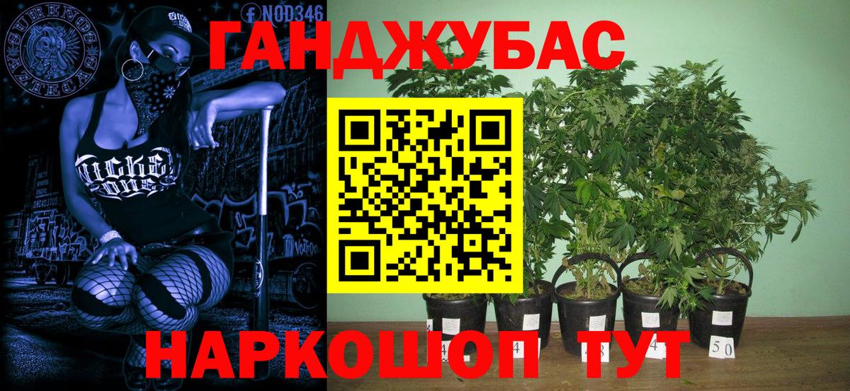 Бошки марихуана сатива  Марихуана индика  Конопля Ganja  Шишки марихуана SATIVA & INDICA  Солнечногорск 